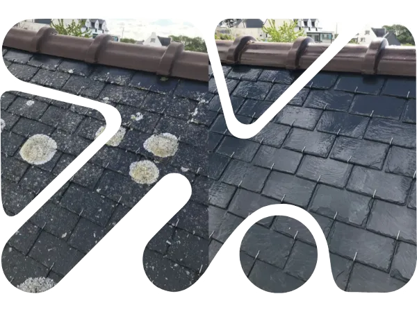 ramonage cheminee gavray